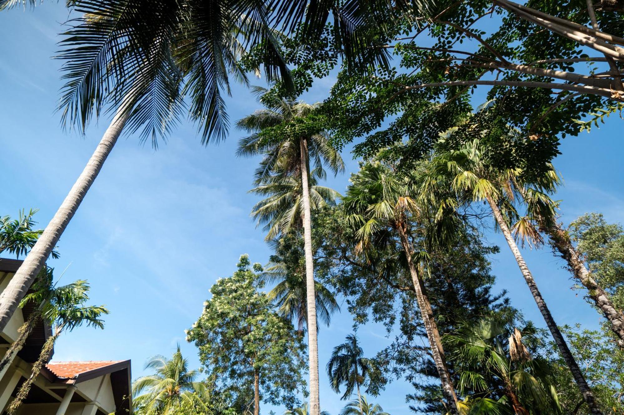 Phuket Leelavadee Hua Ting Resort Patong Exteriör bild